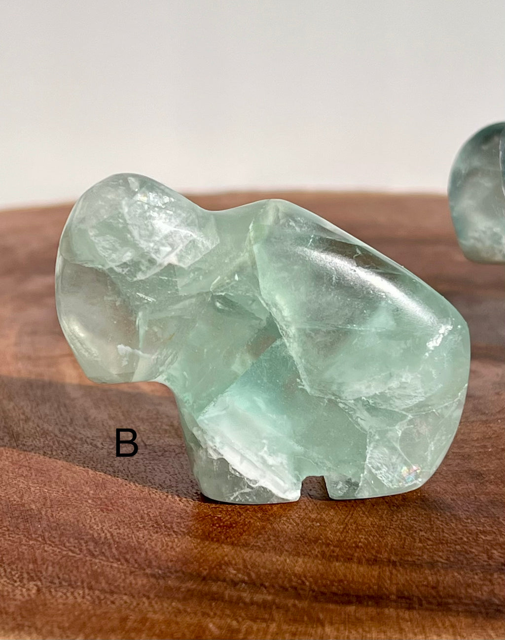 Mexican Fluorite Buffalo - 22