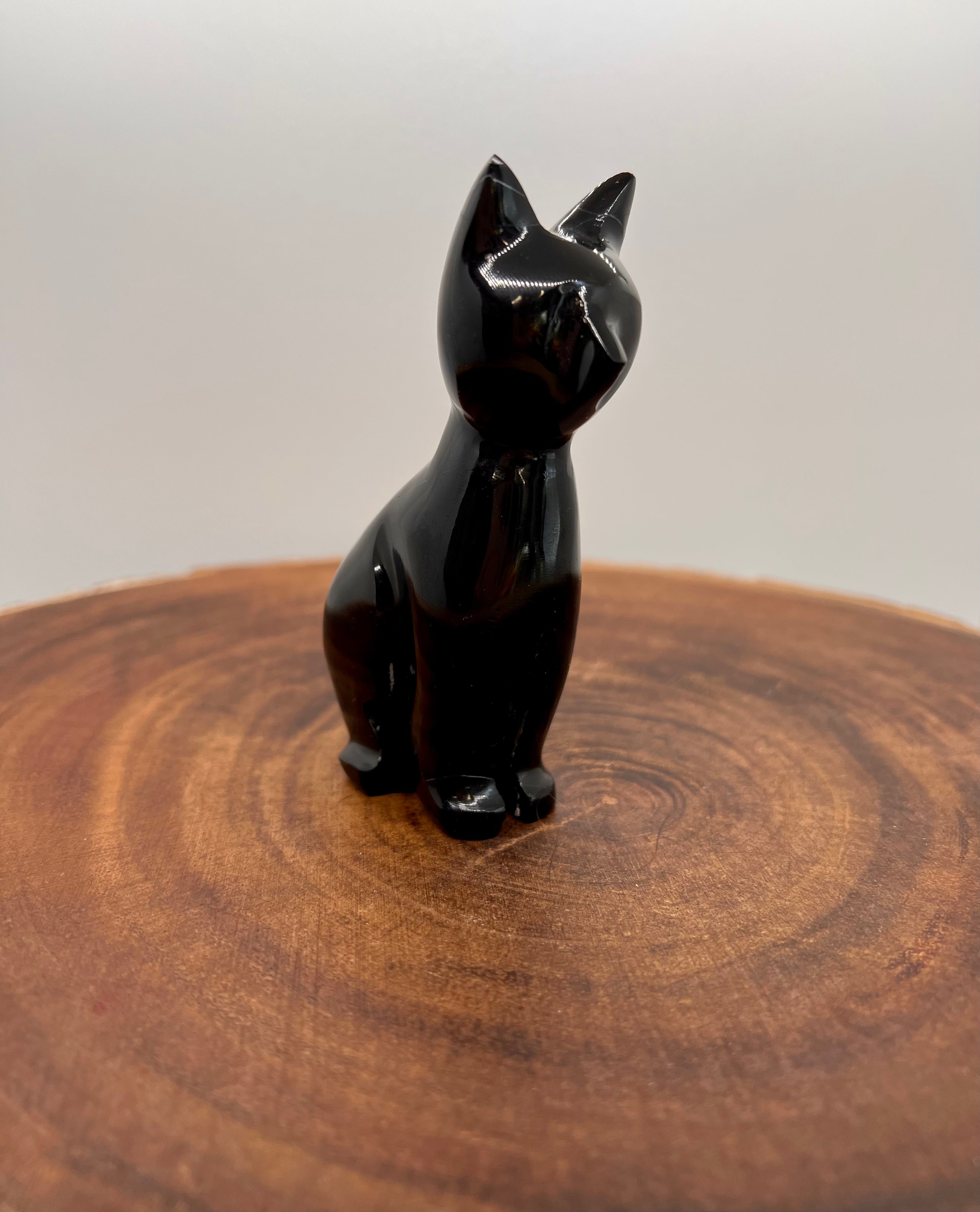 Black Onyx Cat -20/12