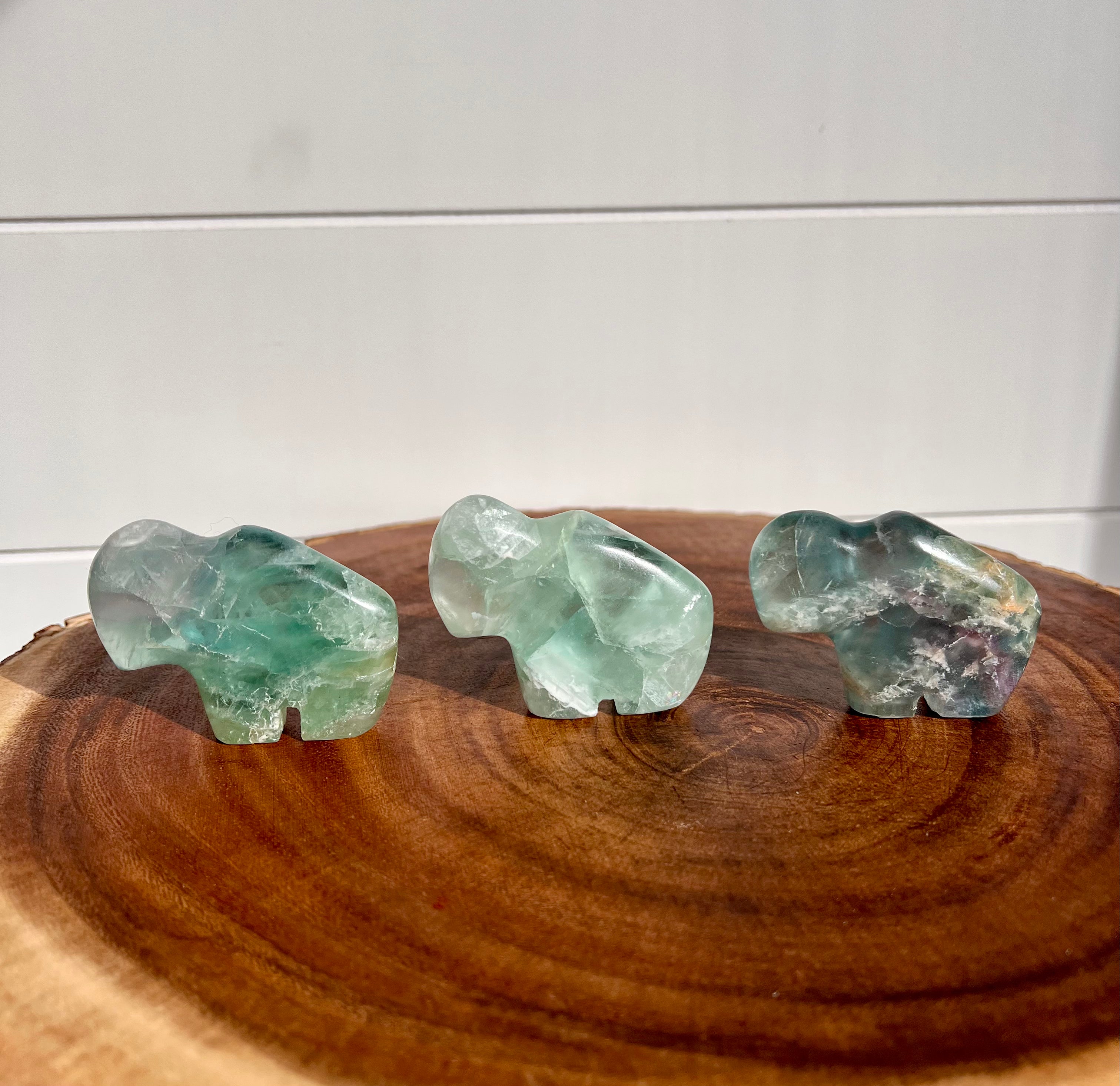 Mexican Fluorite Buffalo - 22