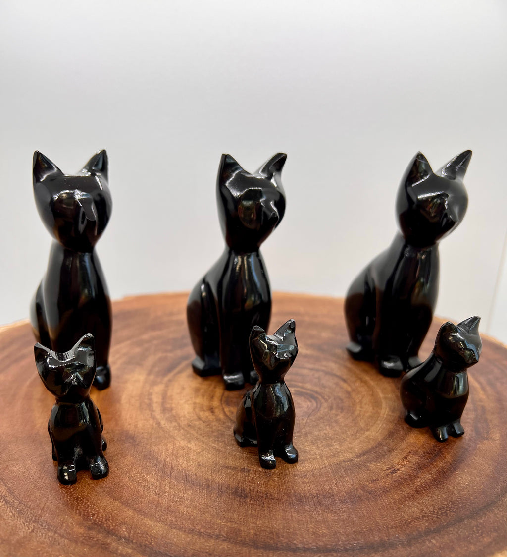 Black Onyx Cat -20/12
