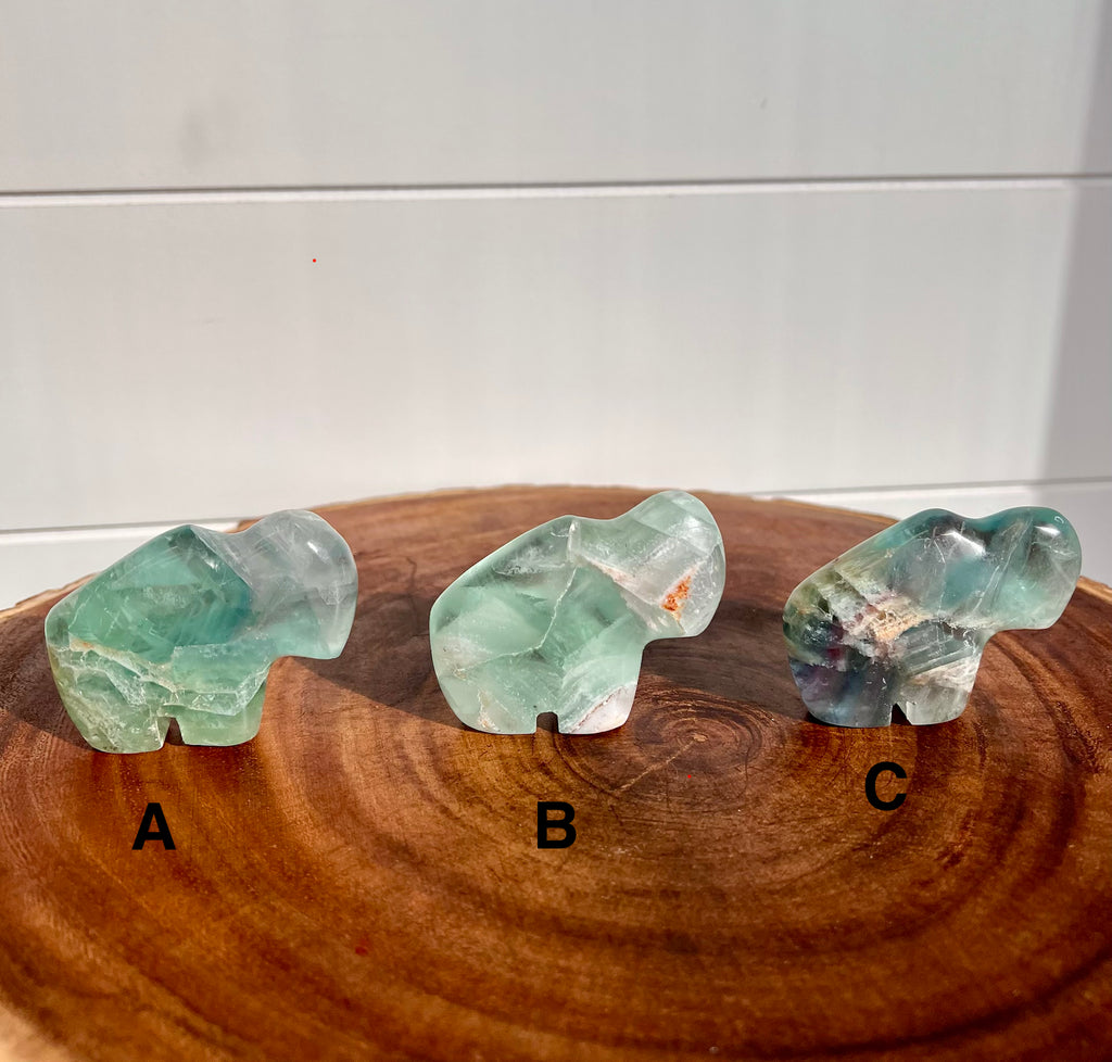 Mexican Fluorite Buffalo - 22