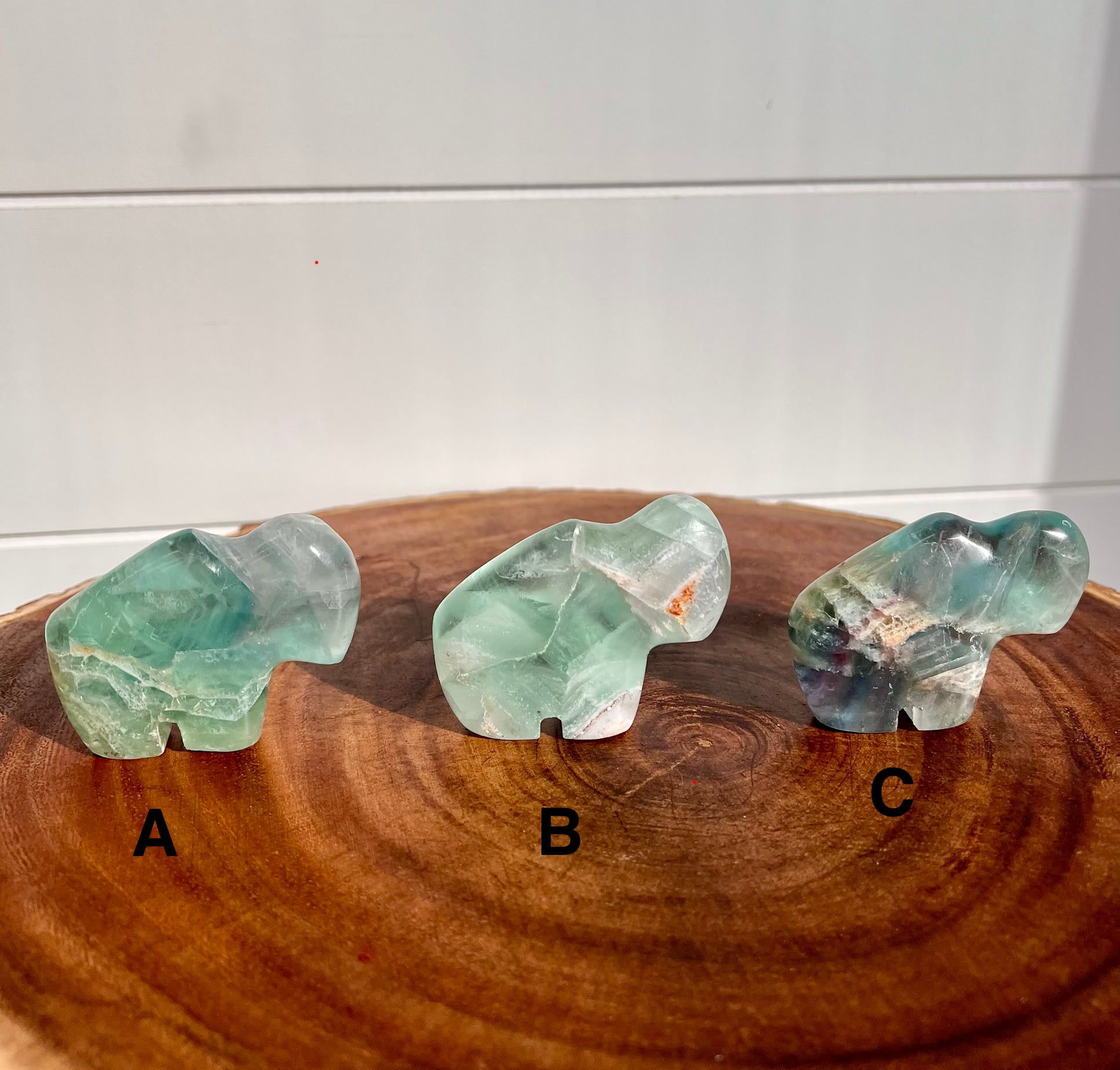 Mexican Fluorite Buffalo - 22