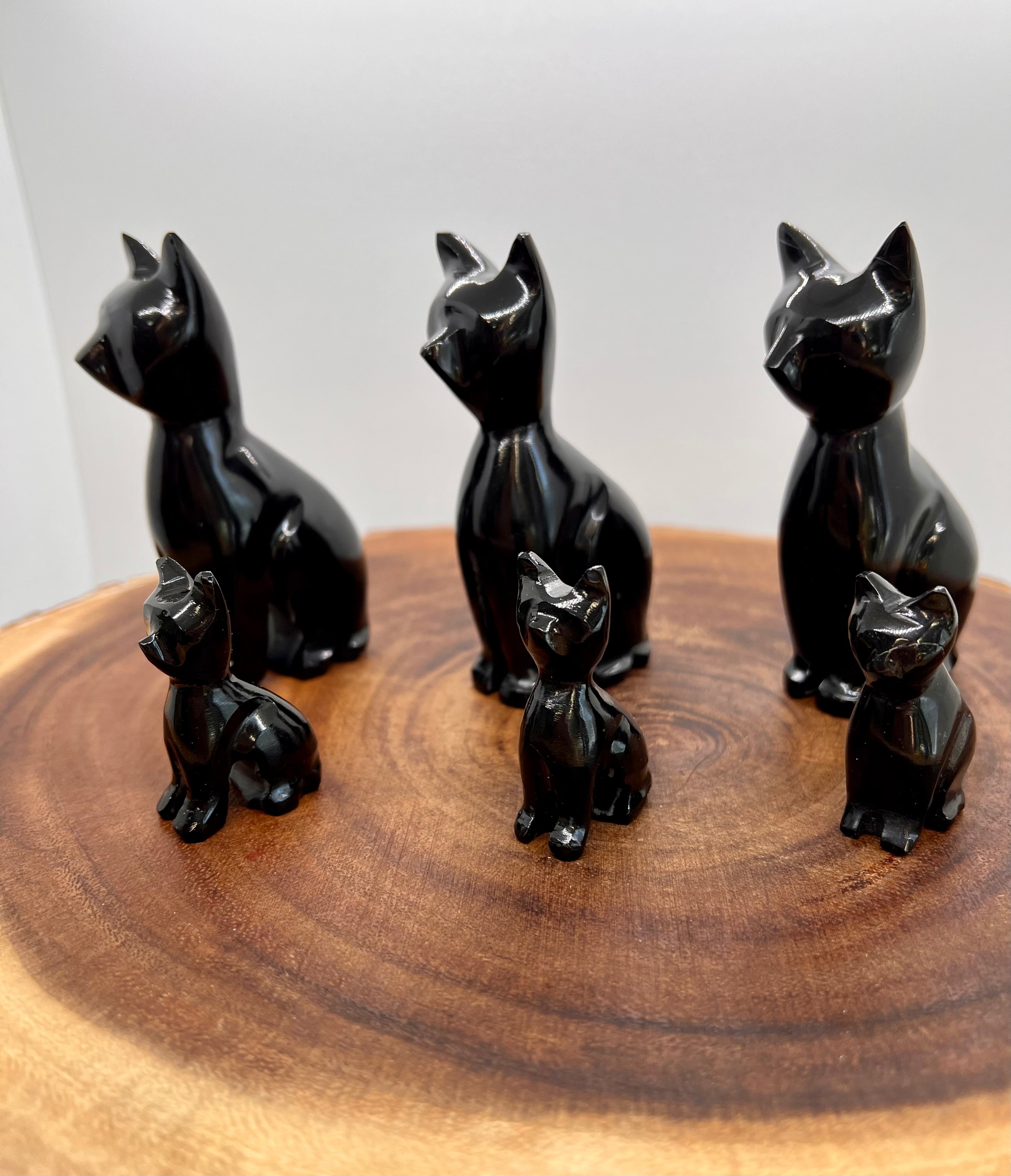 Black Onyx Cat -20/12