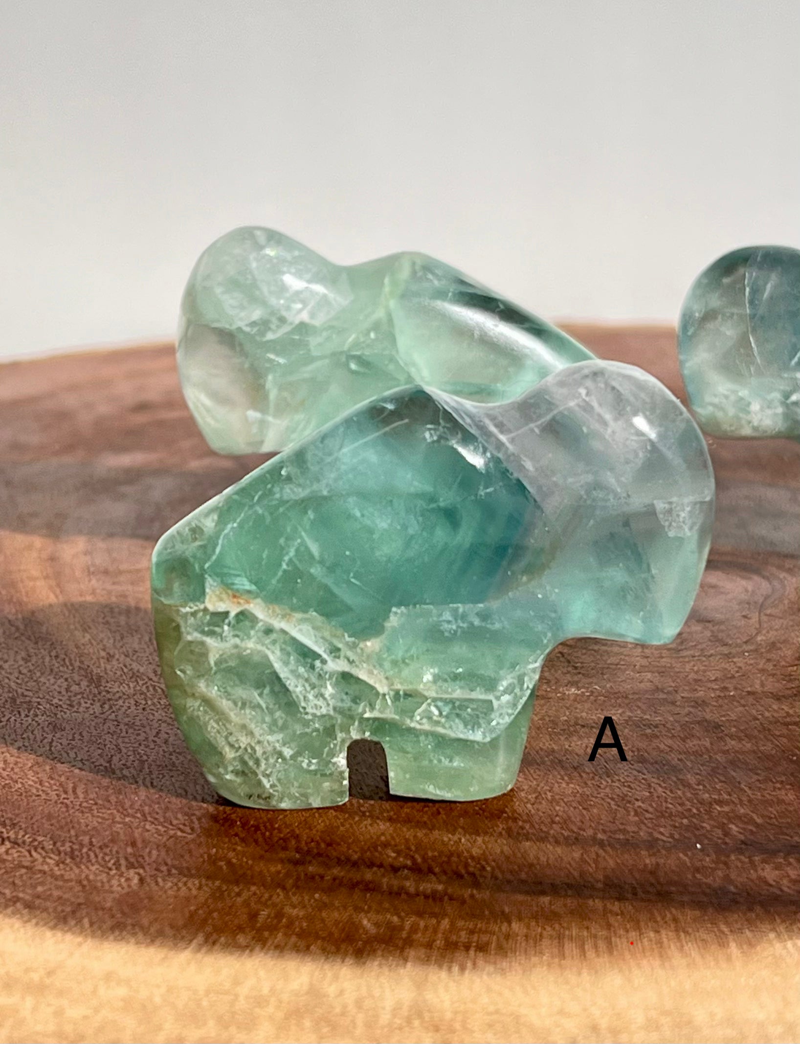 Mexican Fluorite Buffalo - 22