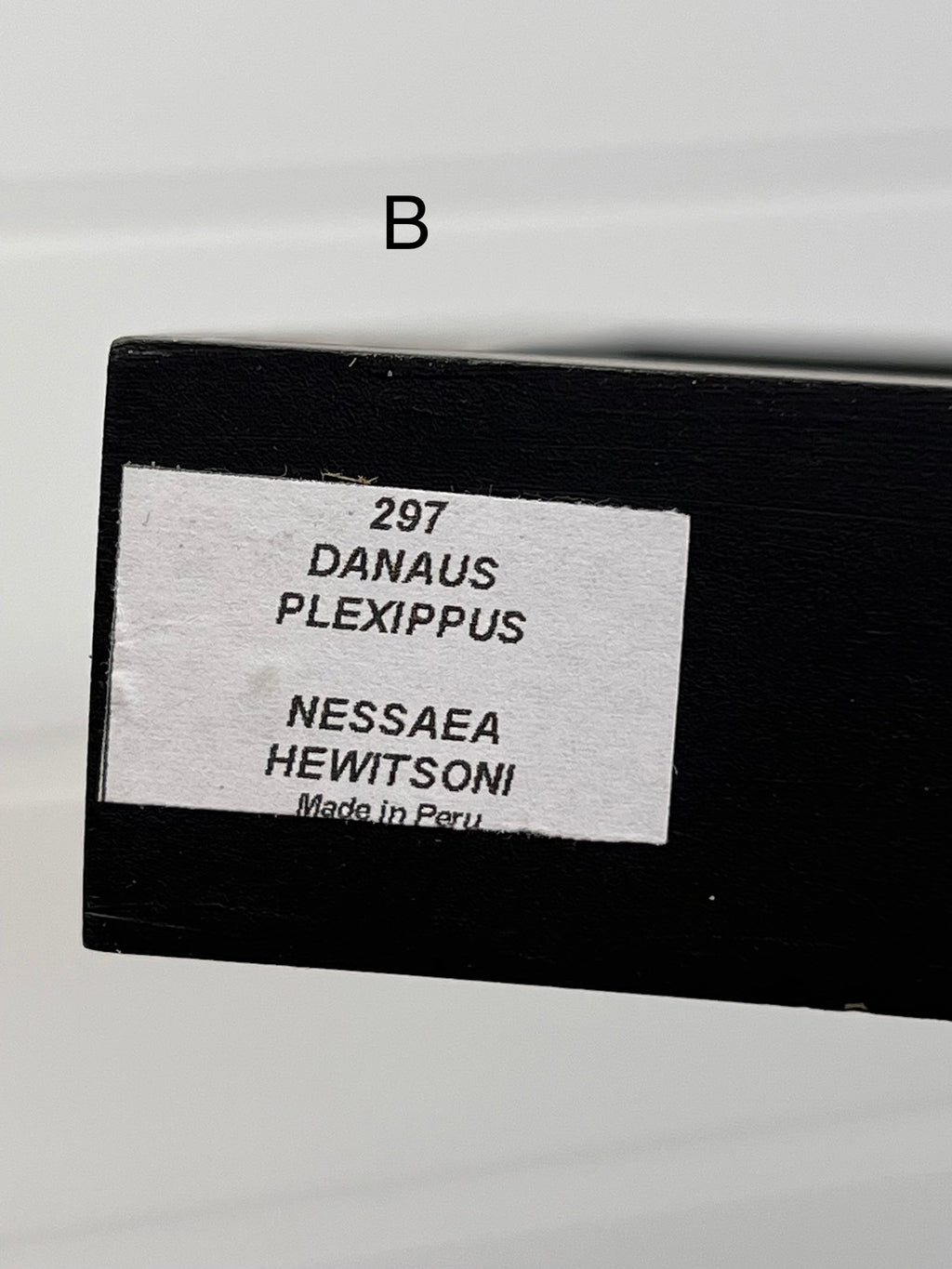 Butterflies in 3d Floating Frame -56